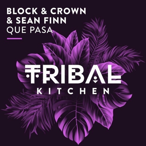 Block & Crown, Sean Finn - Que Pasa (Club Mix) [TK229]